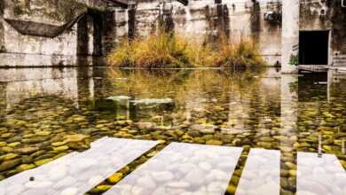 switzerland, water, sewage treatment plant