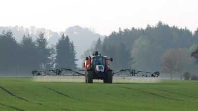 tractor, agriculture, field work, to distribute, field, steyr, weed control, plant protection, spray mist, tractor, tractor, tractor, tractor, tractor, plant protection, plant protection