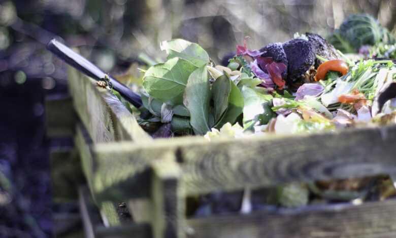 garden, compost, nature