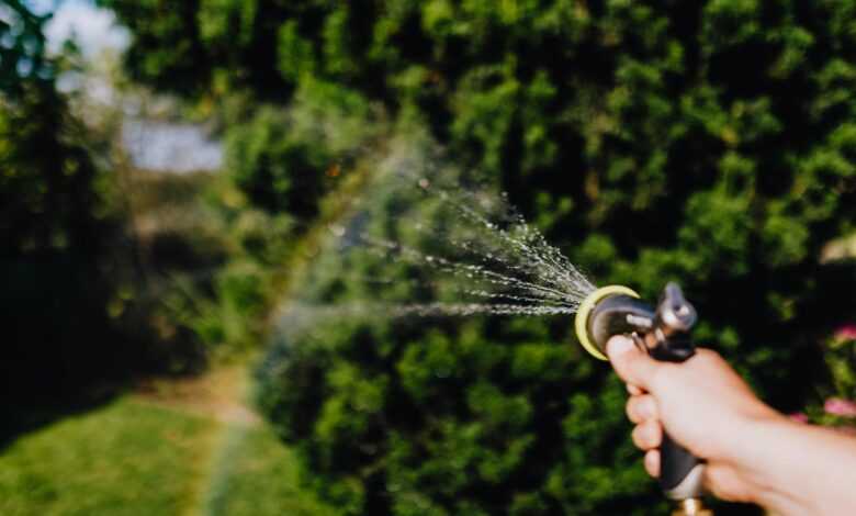 Person Holding a Watering Hose with Sprinkler