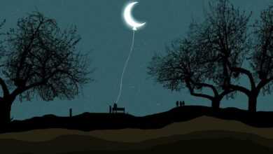 crescent, moon, balloon, night, star, moonlight, gorge, trees, leaf, sky star, sitting, girl, people, silhouette, shadow, milkyway, wallpaper, landscape, scene, dark, nature, dream art, moon, moon, moon, moon, moon, star, people, dark