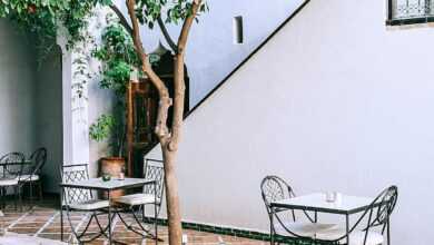 Exterior of modern building and cobblestone yard with decorative pool and tangerine tree over tables with chairs