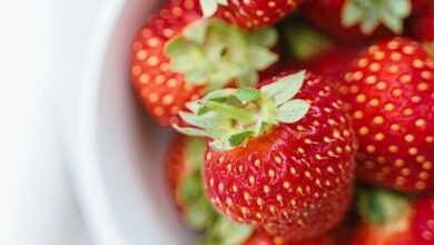 Ripe strawberries in white plate on table