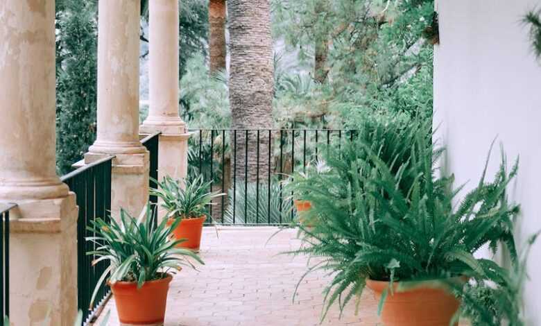 Cozy terrace with columns and assorted potted exotic plants