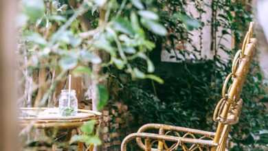 Wicker armchair near table in garden with assorted plants