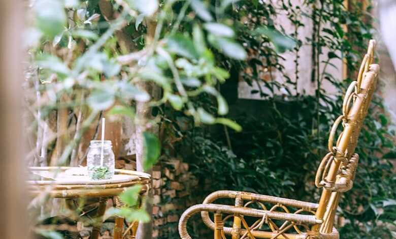 Wicker armchair near table in garden with assorted plants