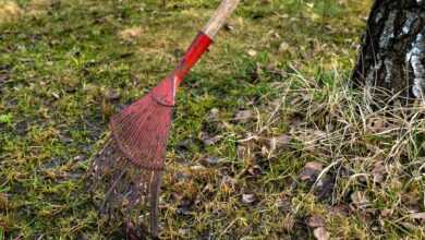spring, dirt, fallen leaves, rake, nature, village, outdoors, day, cloudy, garden, rake, rake, rake, rake, rake