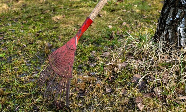 spring, dirt, fallen leaves, rake, nature, village, outdoors, day, cloudy, garden, rake, rake, rake, rake, rake