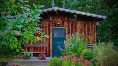 school, school garden, nature, garden shed, garden, financial support, creativity, community, students, children, youthful, sow, cultivation, health, agriculture, horticulture, plant, school garden, garden shed, garden shed, garden shed, garden shed, garden shed