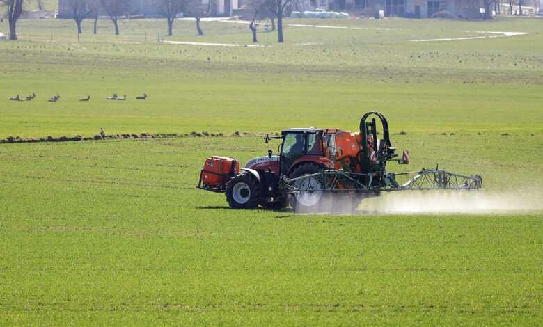 plant protection, agriculture, tractor, spray mist, fields, field, steyr, weed control, roe deer, deer, tractor, tractor, tractor, tractor, tractor, weed control, weed control, weed control