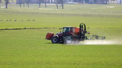 plant protection, agriculture, tractor, spray mist, fields, field, steyr, weed control, roe deer, deer, tractor, tractor, tractor, tractor, tractor, weed control, weed control, weed control