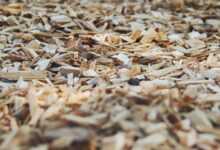 bark, chips, wood, park, mulch, nature, tree, texture, ground, brown, chip, mulch, mulch, mulch, mulch, mulch