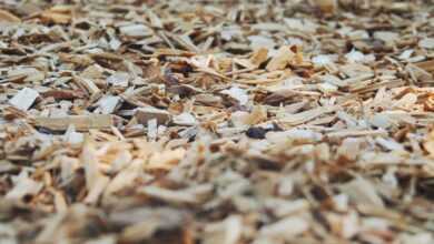 bark, chips, wood, park, mulch, nature, tree, texture, ground, brown, chip, mulch, mulch, mulch, mulch, mulch