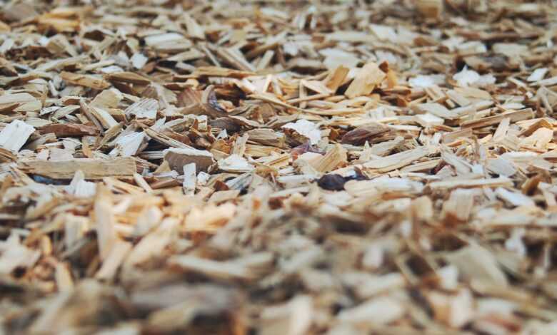 bark, chips, wood, park, mulch, nature, tree, texture, ground, brown, chip, mulch, mulch, mulch, mulch, mulch