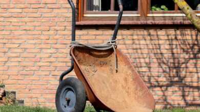gardening, nature, wheelbarrows, set up, empty, lawn, garden, tool, working device, garden tools, equipment, spring, clean, clean up, landscaping, tools, work, maintenance, court