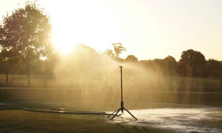 sprinkler, water, watering