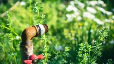 a pipe sticking out of the ground in a field of grass