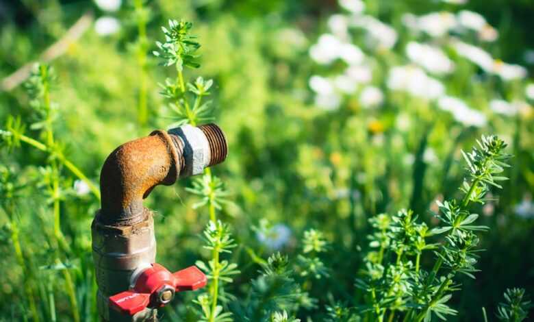 a pipe sticking out of the ground in a field of grass