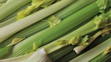 vegetables, celery, green