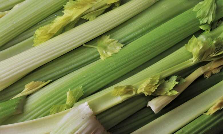 vegetables, celery, green