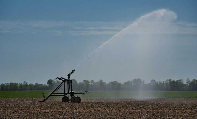 irrigation, agriculture, water, field, sprinkler, spring, nature, heaven, clouds, water jet, irrigation system, sprinkler system, no rain, dry, drought, dryness, sunny, warm, wet, weather, fields, agricultural economics, irrigation, irrigation, irrigation, irrigation, irrigation, irrigation system, drought