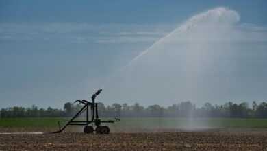 irrigation, agriculture, water, field, sprinkler, spring, nature, heaven, clouds, water jet, irrigation system, sprinkler system, no rain, dry, drought, dryness, sunny, warm, wet, weather, fields, agricultural economics, irrigation, irrigation, irrigation, irrigation, irrigation, irrigation system, drought