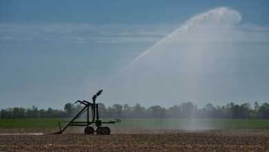 irrigation, agriculture, water