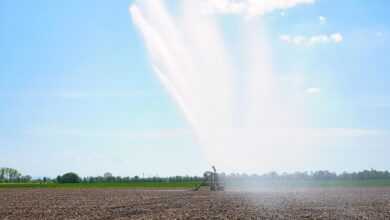 irrigation, agriculture, water, field, sprinkler, spring, nature, heaven, clouds, water jet, irrigation system, sprinkler system, no rain, dry, drought, sunny, warm, wet, weather, fields, agricultural economics, dryness, irrigation, irrigation, irrigation, irrigation, irrigation, irrigation system, irrigation system