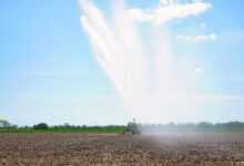 irrigation, agriculture, water, field, sprinkler, spring, nature, heaven, clouds, water jet, irrigation system, sprinkler system, no rain, dry, drought, sunny, warm, wet, weather, fields, agricultural economics, dryness, irrigation, irrigation, irrigation, irrigation, irrigation, irrigation system, irrigation system