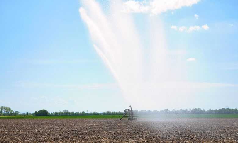 irrigation, agriculture, water, field, sprinkler, spring, nature, heaven, clouds, water jet, irrigation system, sprinkler system, no rain, dry, drought, sunny, warm, wet, weather, fields, agricultural economics, dryness, irrigation, irrigation, irrigation, irrigation, irrigation, irrigation system, irrigation system