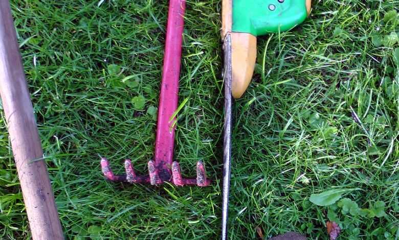 rose scissors, garden tools, allotment garden