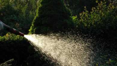 water, allotment garden, water jet