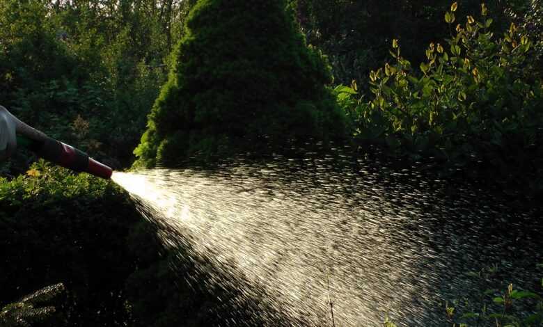 water, allotment garden, water jet