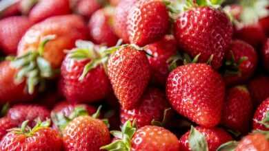 strawberry, healthy, vegan, lunch, fruit, food, fresh, strawberries, nutrition, vegetarian, detox, breakfast, delicious, fruity, kitchen, strawberry, strawberry, strawberry, strawberry, strawberry, strawberries, strawberries