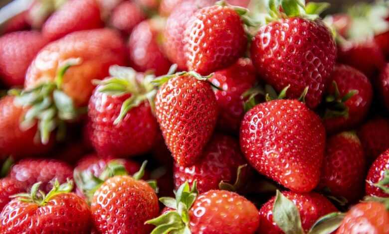 strawberry, healthy, vegan, lunch, fruit, food, fresh, strawberries, nutrition, vegetarian, detox, breakfast, delicious, fruity, kitchen, strawberry, strawberry, strawberry, strawberry, strawberry, strawberries, strawberries