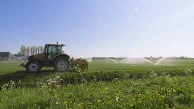 tractor, nature, water