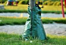 kempen, irrigation bag, dryness, water, summer, landscape, tropical, tree irrigation, tree, plant, wet, drops, drip irrigation, irrigation, baumbad, giesssack, water bag, root irrigation, green, niederrhein, nature, climate change climate change