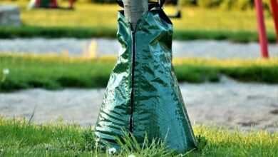 kempen, irrigation bag, dryness, water, summer, landscape, tropical, tree irrigation, tree, plant, wet, drops, drip irrigation, irrigation, baumbad, giesssack, water bag, root irrigation, green, niederrhein, nature, climate change climate change