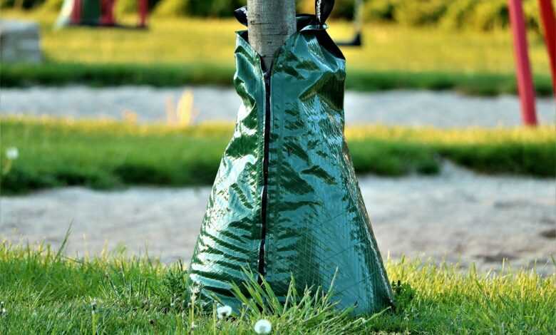 kempen, irrigation bag, dryness, water, summer, landscape, tropical, tree irrigation, tree, plant, wet, drops, drip irrigation, irrigation, baumbad, giesssack, water bag, root irrigation, green, niederrhein, nature, climate change climate change