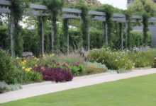 garden, park, nature, flowers, flora, bloom, flower wallpaper, white, flower background, red, purple, pergola, sidewalk, beautiful flowers, green, blooming, lawn