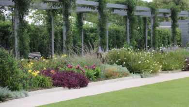 garden, park, nature, flowers, flora, bloom, flower wallpaper, white, flower background, red, purple, pergola, sidewalk, beautiful flowers, green, blooming, lawn