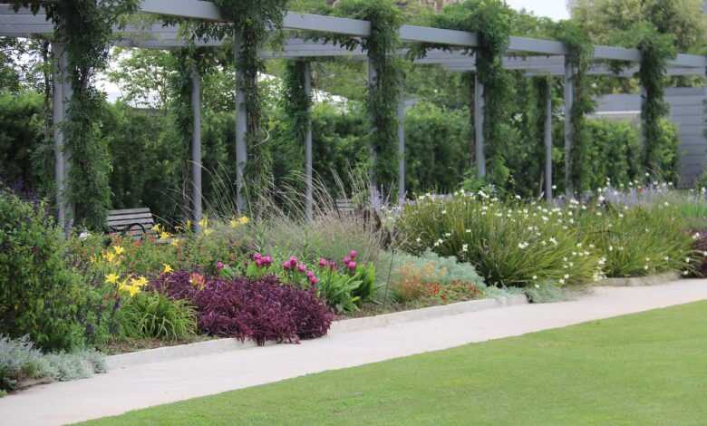 garden, park, nature, flowers, flora, bloom, flower wallpaper, white, flower background, red, purple, pergola, sidewalk, beautiful flowers, green, blooming, lawn