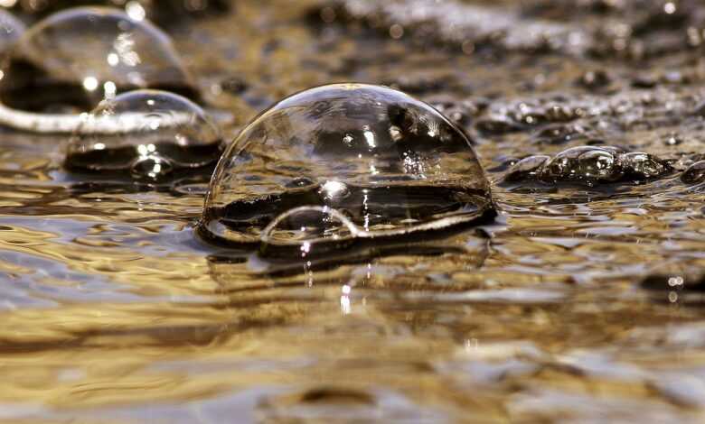 bubbles, nature, water