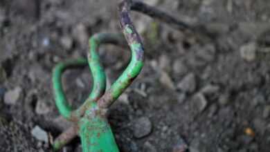 rake, tool, garden tool, nature, old, rusted, green, equipment, working device, garden, floor, hand tool, garden tools, gardening equipment, agriculture, tools