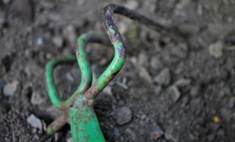 rake, tool, garden tool, nature, old, rusted, green, equipment, working device, garden, floor, hand tool, garden tools, gardening equipment, agriculture, tools