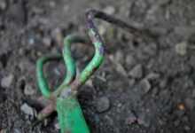 rake, tool, garden tool, old, nature, rusted, green, equipment, working device, garden, floor, hand tool, garden tools, gardening equipment, agriculture, tools