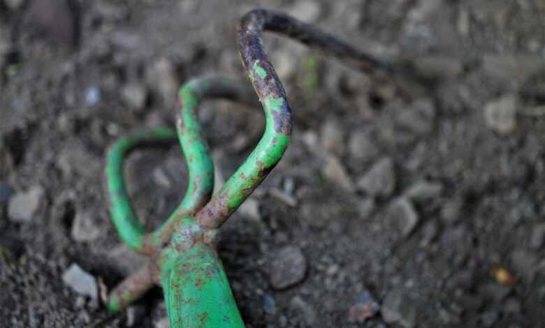 rake, tool, garden tool, old, nature, rusted, green, equipment, working device, garden, floor, hand tool, garden tools, gardening equipment, agriculture, tools