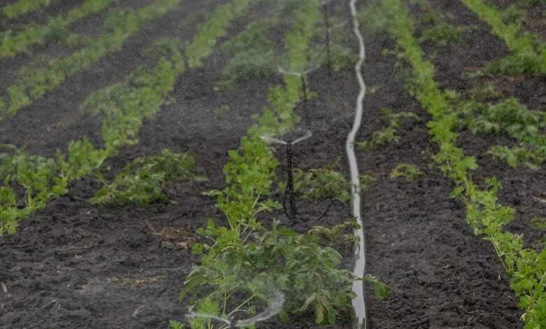 irrigation, agriculture, water