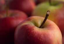 apple, healthy, red, fruit, apples, fruits, vitamins, food, harvest, power supply, ripe, delicious, health, fruit basket, fresh, to live, vitamin, close up, stem, bio, apple, apple, apple, apples, health, health, health, health, health