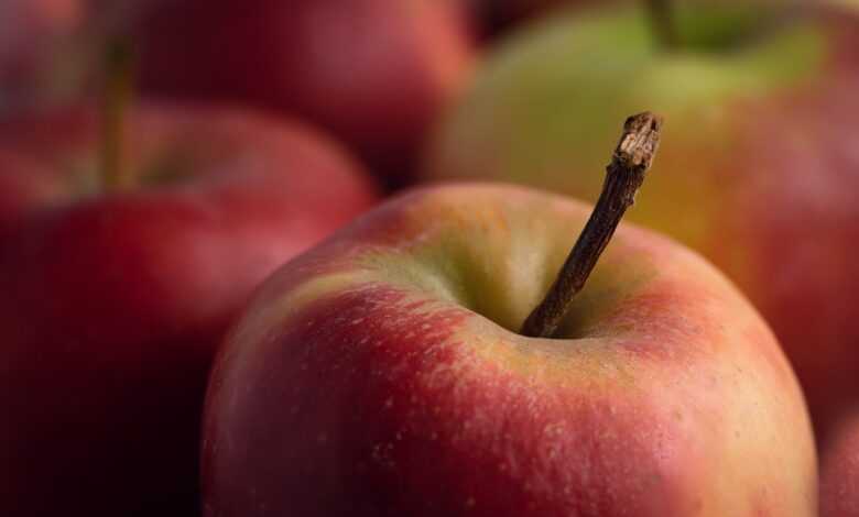 apple, healthy, red, fruit, apples, fruits, vitamins, food, harvest, power supply, ripe, delicious, health, fruit basket, fresh, to live, vitamin, close up, stem, bio, apple, apple, apple, apples, health, health, health, health, health
